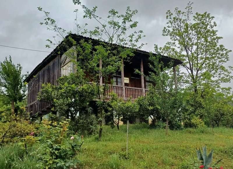 Niko Mari House Museum