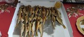 Fresh fish_ka