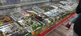 Fresh fish_ka