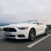 Dream Car Rent