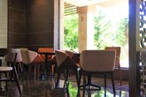 Dreamland Oasis ფუფუნება 1801