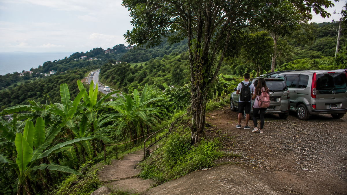 The safest access to Banana Grove is from above, near the road and parking area in Tsikhisdziri.
