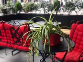 Espresso Cafe and Shop