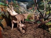 Ethnographical museum