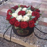 Flowers Vardi