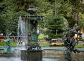 შადრევანი მეფრინველეობის სახლთან