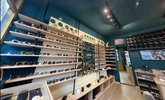 Forea Optics