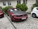 Georgian Auto Import