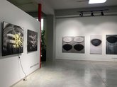 Gallery Gamrekeli