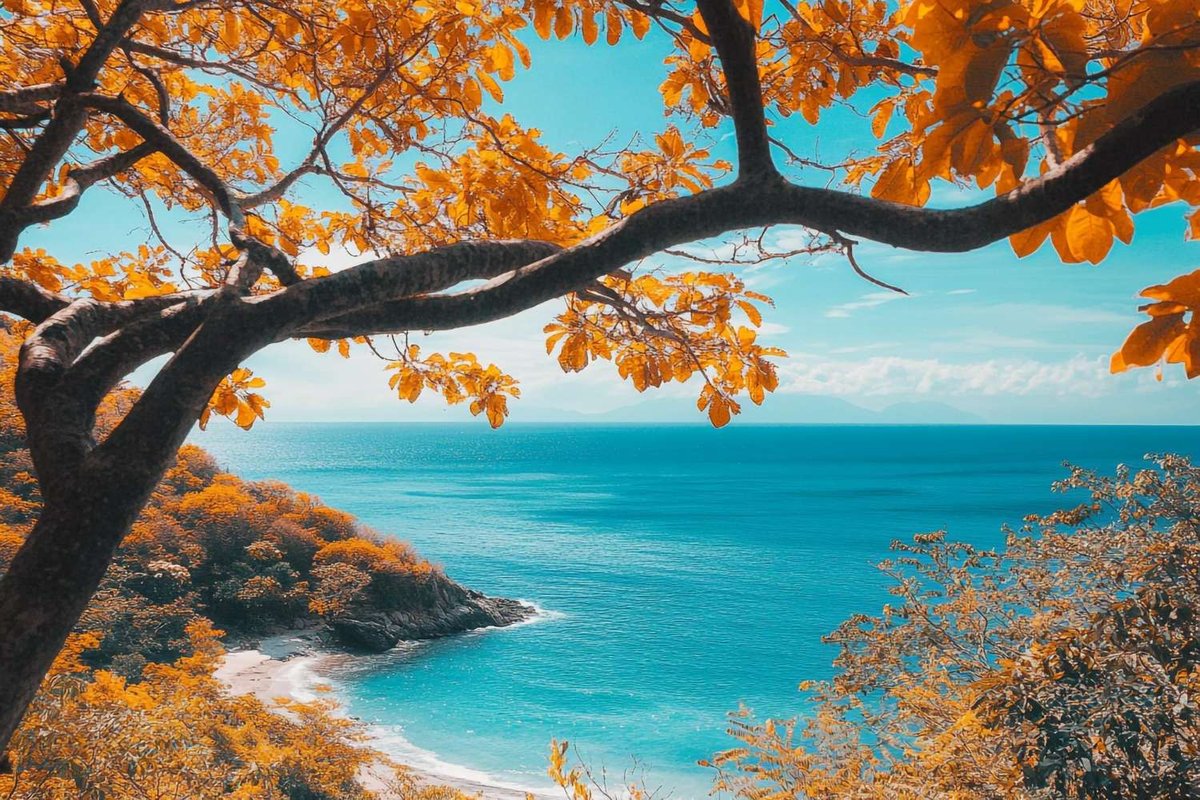 A short caption: golden foliage arches over a quiet turquoise cove, framing the rocky coastline and calm sea beyond.
