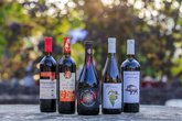Georgian Wine House