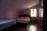 დარიალი