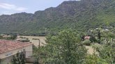 ვერტიგო
