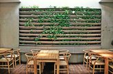 Green Terrace
