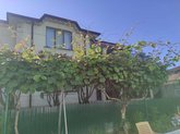 Green House