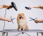 Groom (ул. Бердзенишвили)