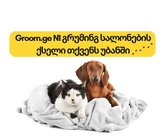 Groom (ул. Ониашвили)