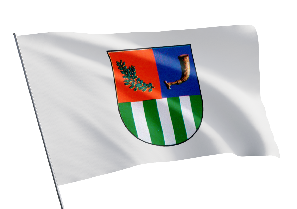 Gudauta municipality flag