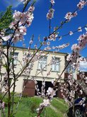Guest House Parnavazi
