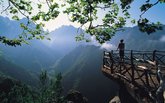 ჰამლეტ მოგზაურობა / Hamlet Travel