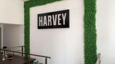 Harvey Burger на Пушкина