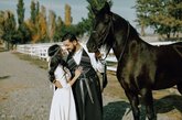 Black Horse