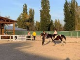 Black Horse
