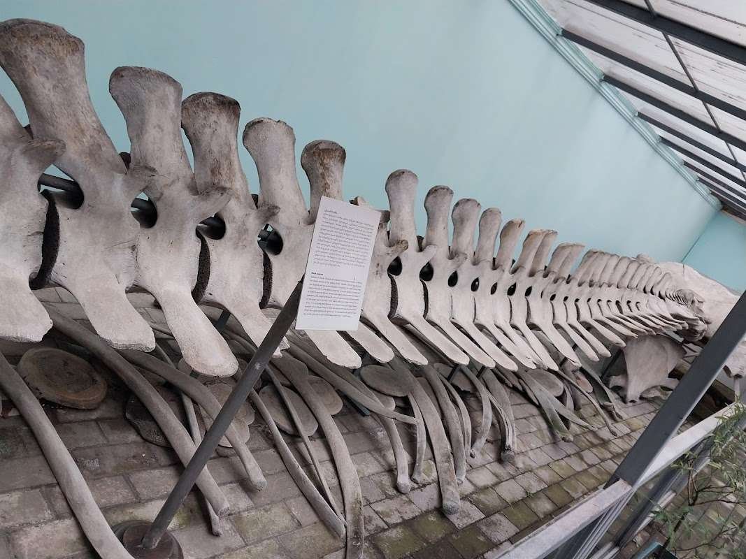 Khariton Akhvlediani Museum in Batumi