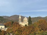 მწვანე ყვავილის ტაძარი