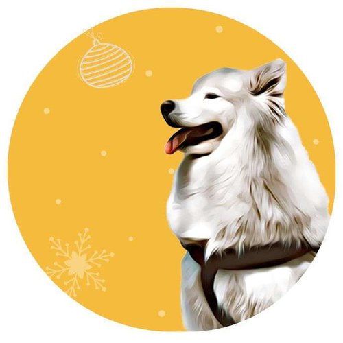 Логотип Babi's Grooming