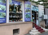 სუვენირების სახლი