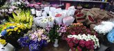 Maia's Flowers