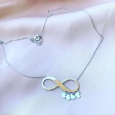 მირაბილისის ვერცხლი