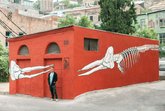 Sperm whales