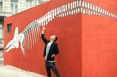 Sperm whales