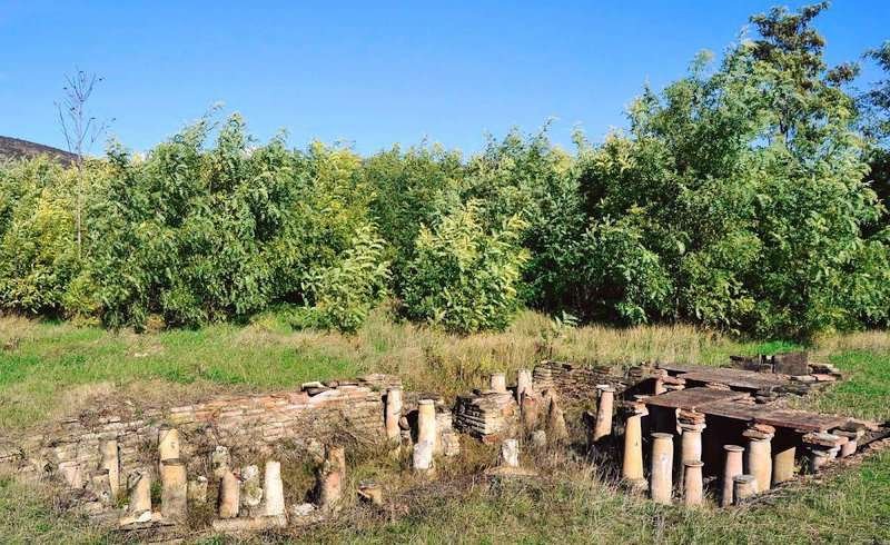 Dzalisa Museum-Reserve