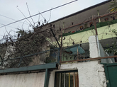 Семички