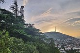 ნარიკალა