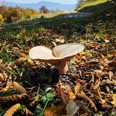 Национальный парк Бацари