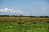 Kobuleti National Park