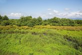 Kobuleti National Park
