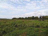 Kobuleti National Park