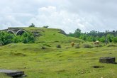 Kolkheti National Park