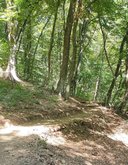 მარიამჟვრის ეროვნული პარკი