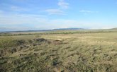 Yori National Park