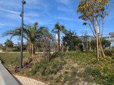 New Park