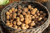 Nuts From Georgia