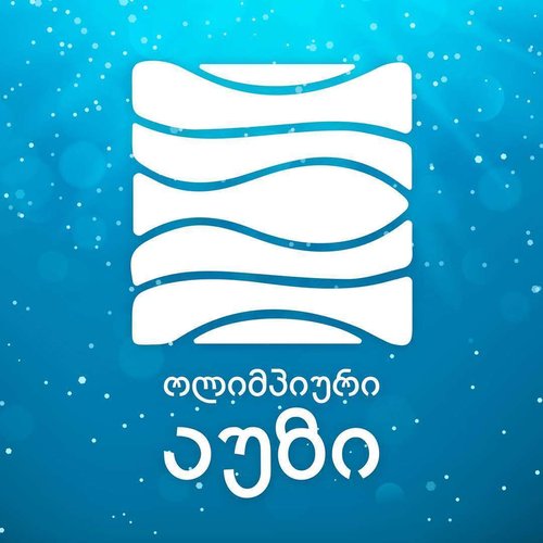 Олимпийский бассейн под открытым небом - лого.jpeg