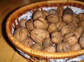 Orinuts Georgia