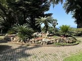 Ornamental Pool